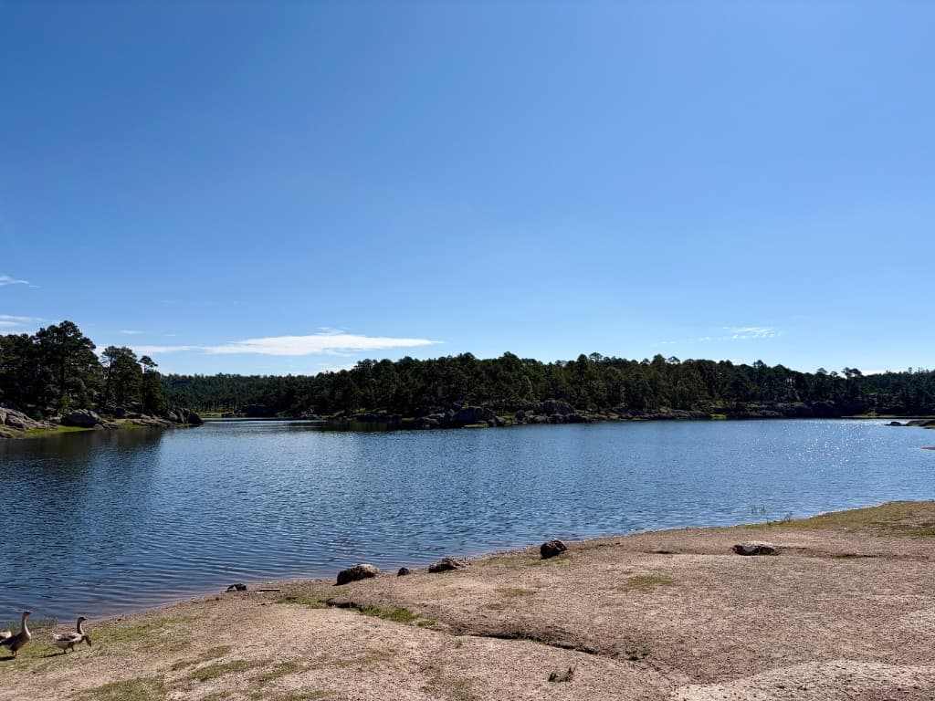 Lake Arareko